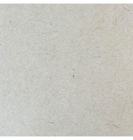 PN135 - Gampi paper with cogon and fibres