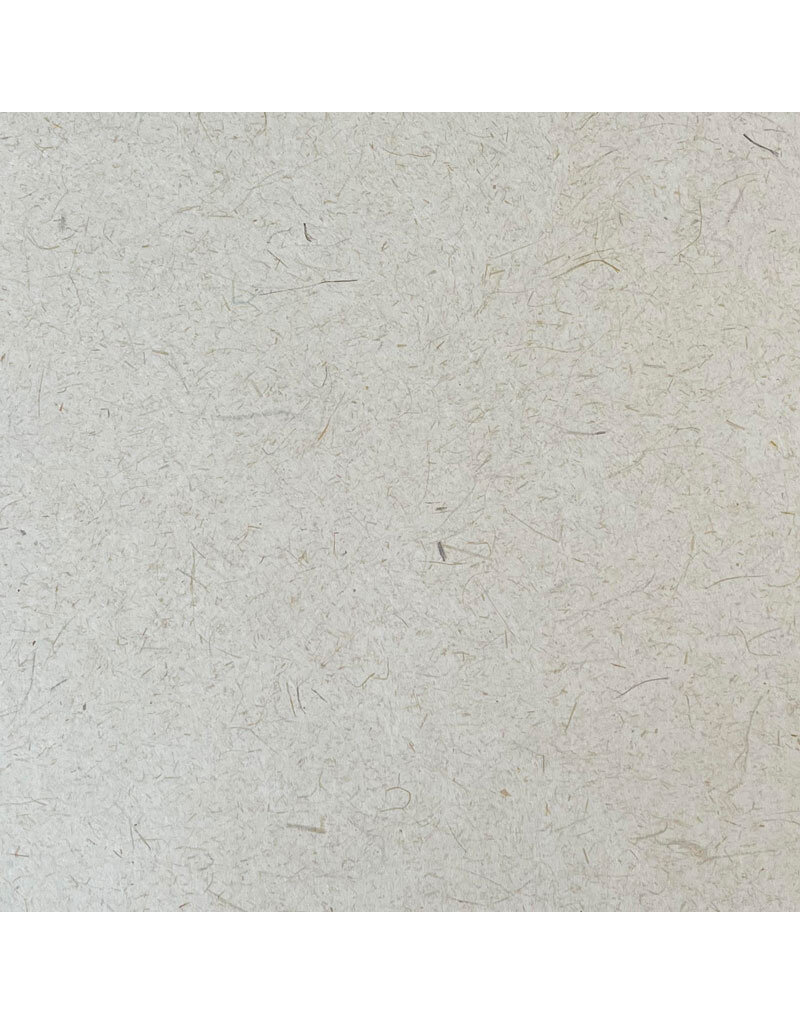 Gampi paper with cogon and fibres