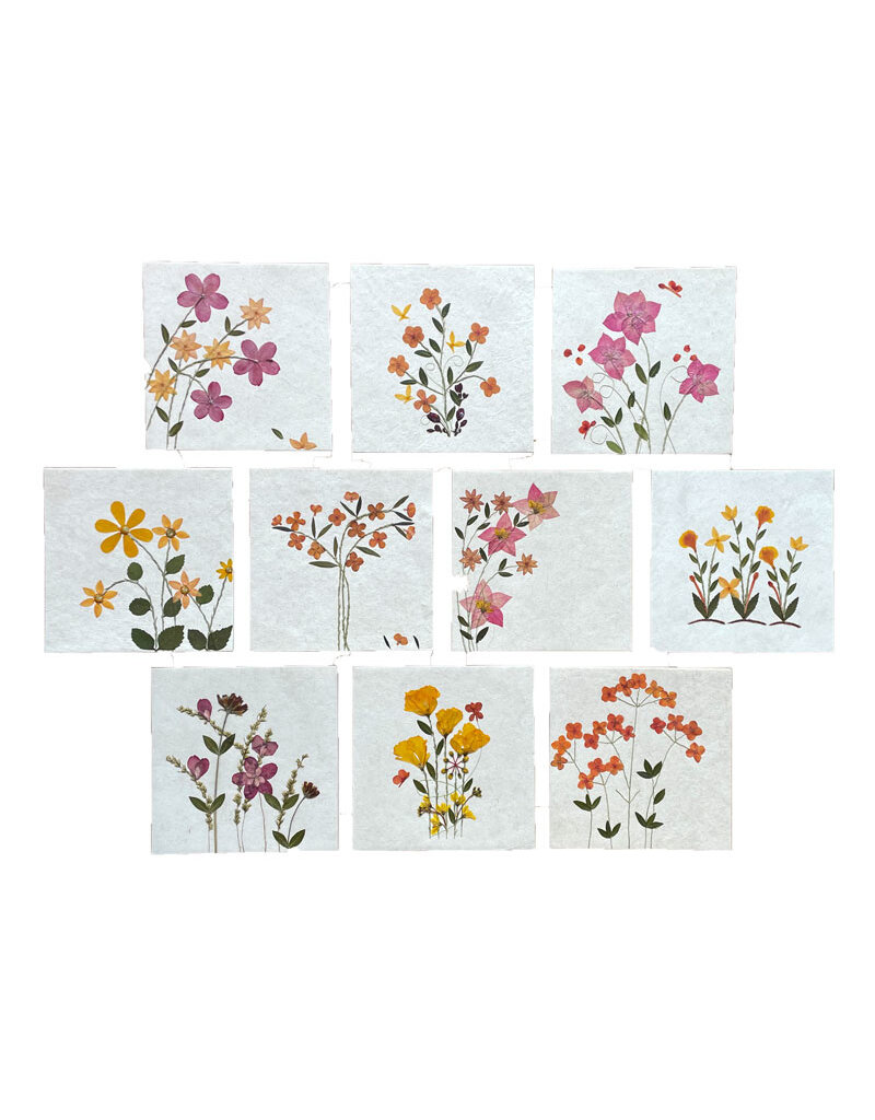 PN321 - Set of 10 cards with envelopes