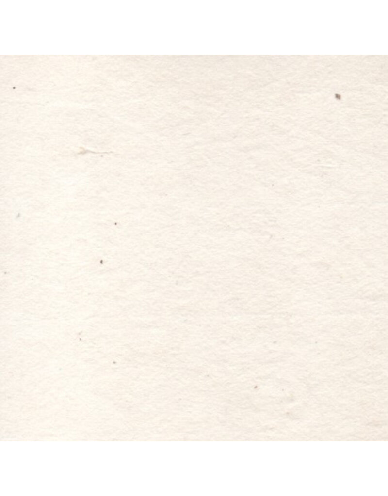 BT046 - Bhutanese paper with Edgeworthia fibres