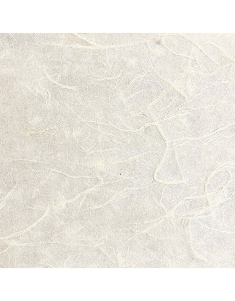 BT045 - Bhutanese paper with mitsumata fibres