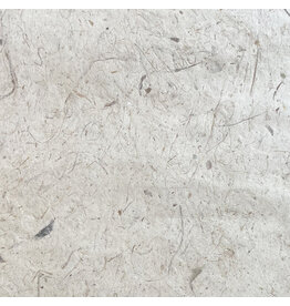 NE045 - Lokta paper with fibres