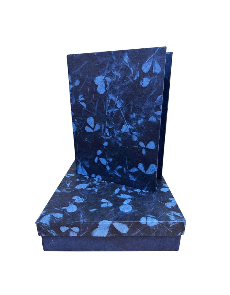 Set of box and file folder leafprint