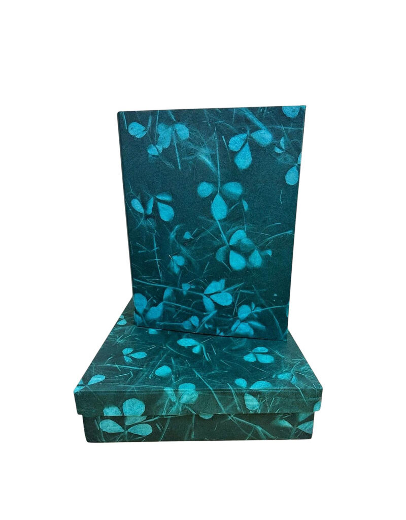 Set of box and file folder leafprint