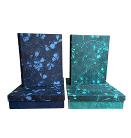 NE416 Set of box and file folder leafprint