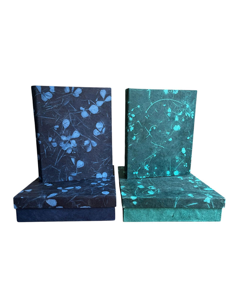 Set of box and file folder leafprint