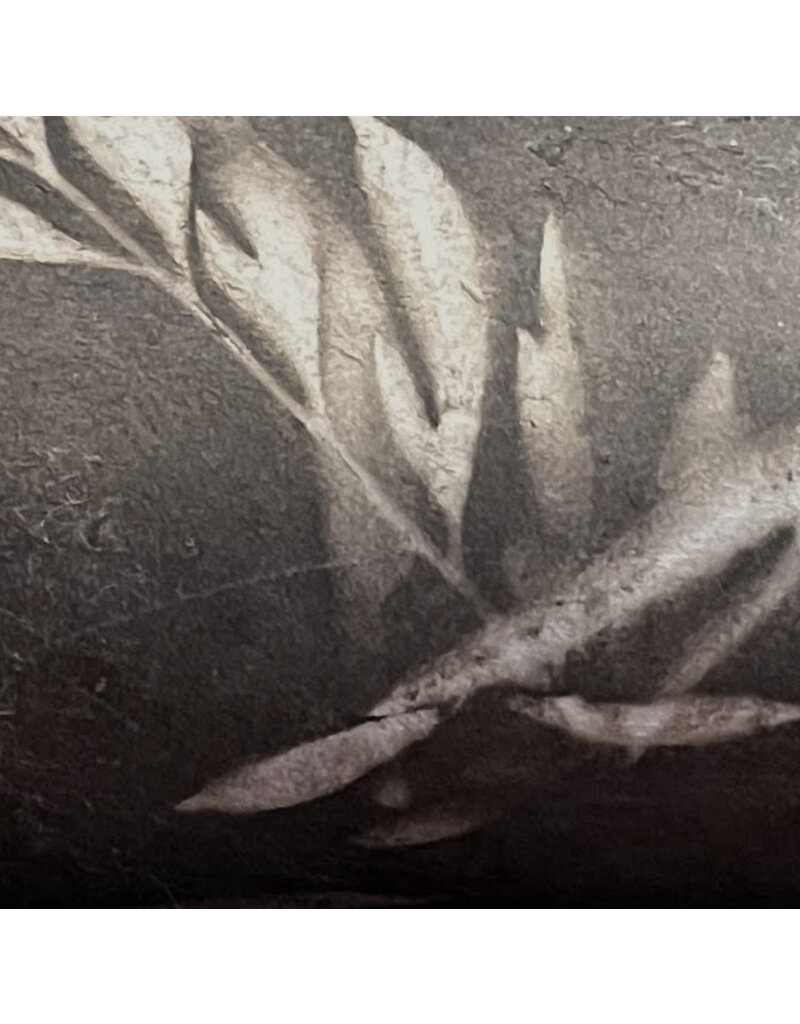 NE850 - Lokta paper with leaf print