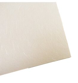 . TH927 Maulbeerpapier mit sichtbaren Fasern, glatte Oberfläche