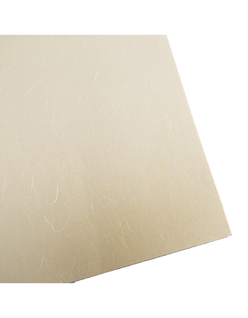 . Mulberry paper with visible fibres, smooth surface