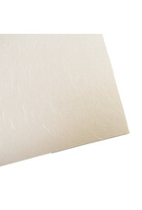 . Mulberry paper with visible fibres, smooth surface