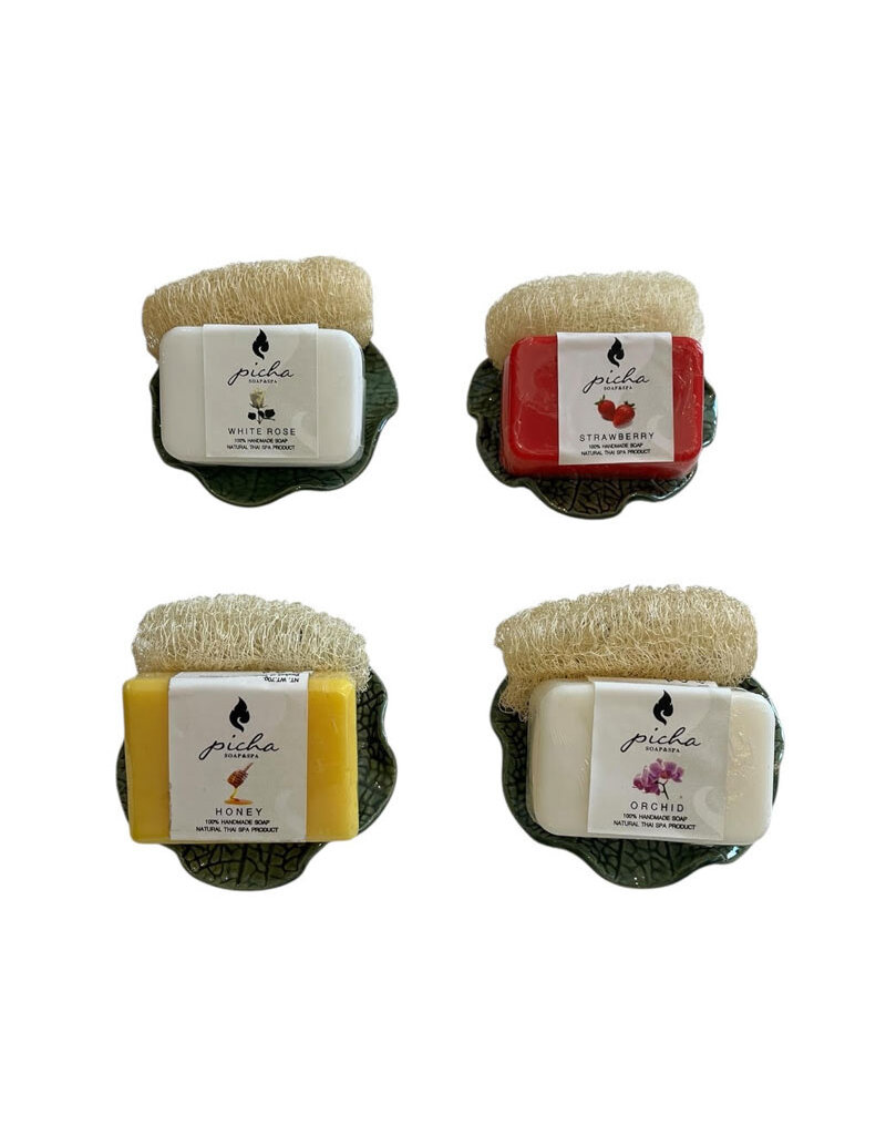 Plat en porcelaine avec savon / éponge loofah