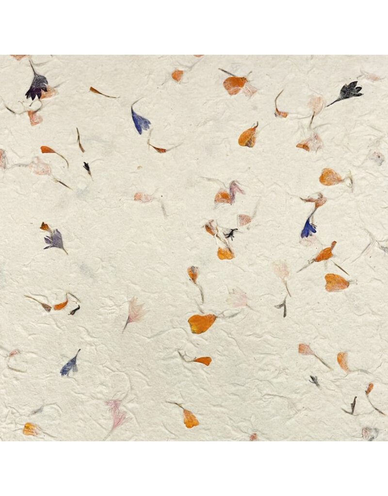 NE801 - Lokta paper with petals