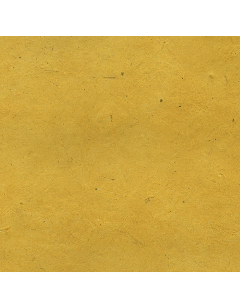 25 feuilles de Papier Lokta