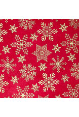 NE048 - Lokta paper with stars