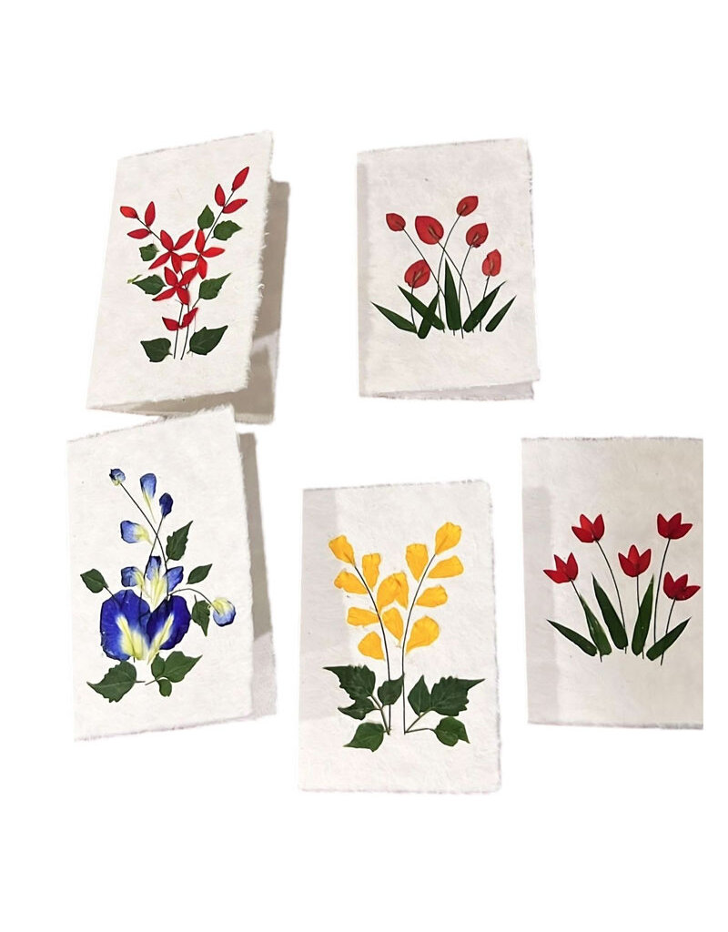 TH777 - Set of 20 double cards with envelopes