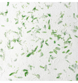 TH636 - Mulberry papier met tamarinde blad