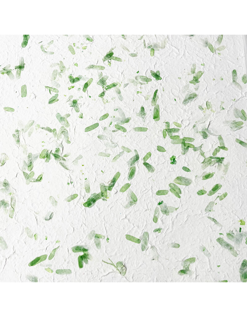 TH636 - Papier de mûrier feuille de tamarin