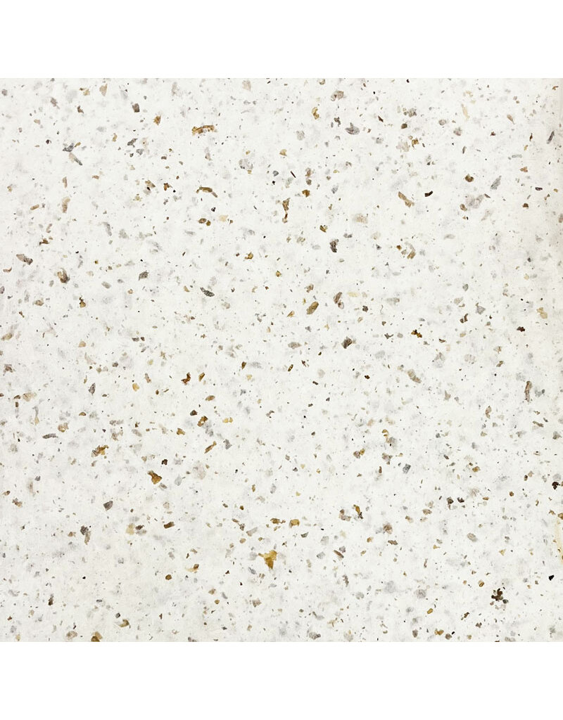 TH830 - Mulberry paper with eggshell