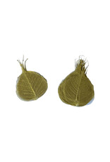 Set of 25 bodhi leaves