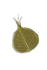 Set of 25 bodhi leaves