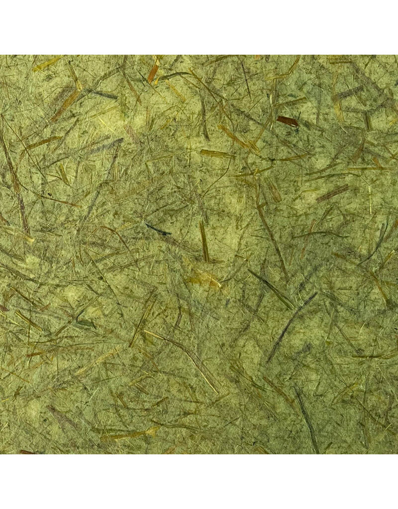 Gampi paper