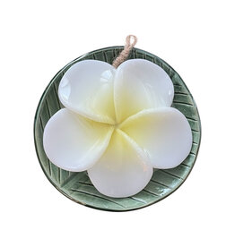 TH156 Porcelain dish with soap