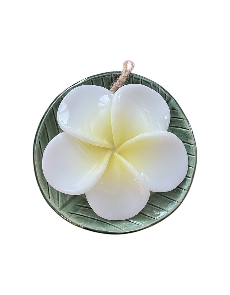 TH156 - Porcelain dish with soap