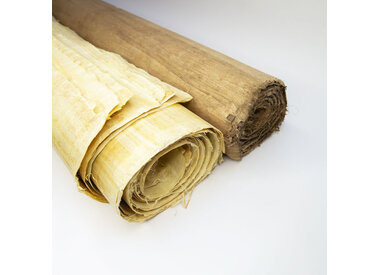 Papyrus 