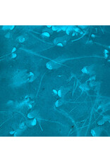 NE203 - Lokta paper with leaf print