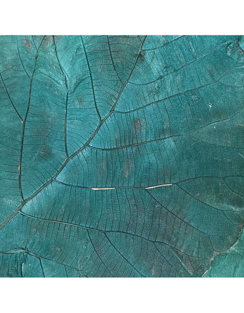 TH845 - Papier de mûrier feuilles de teck