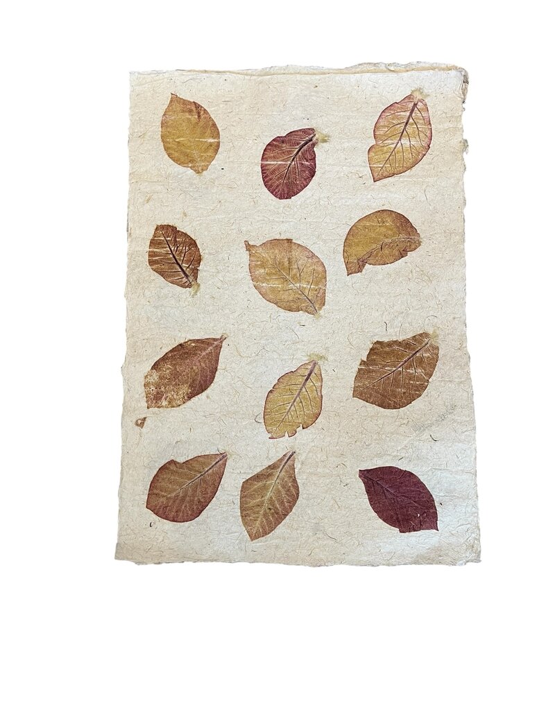 Papier de mûrier et de maïs avec feuilles impression