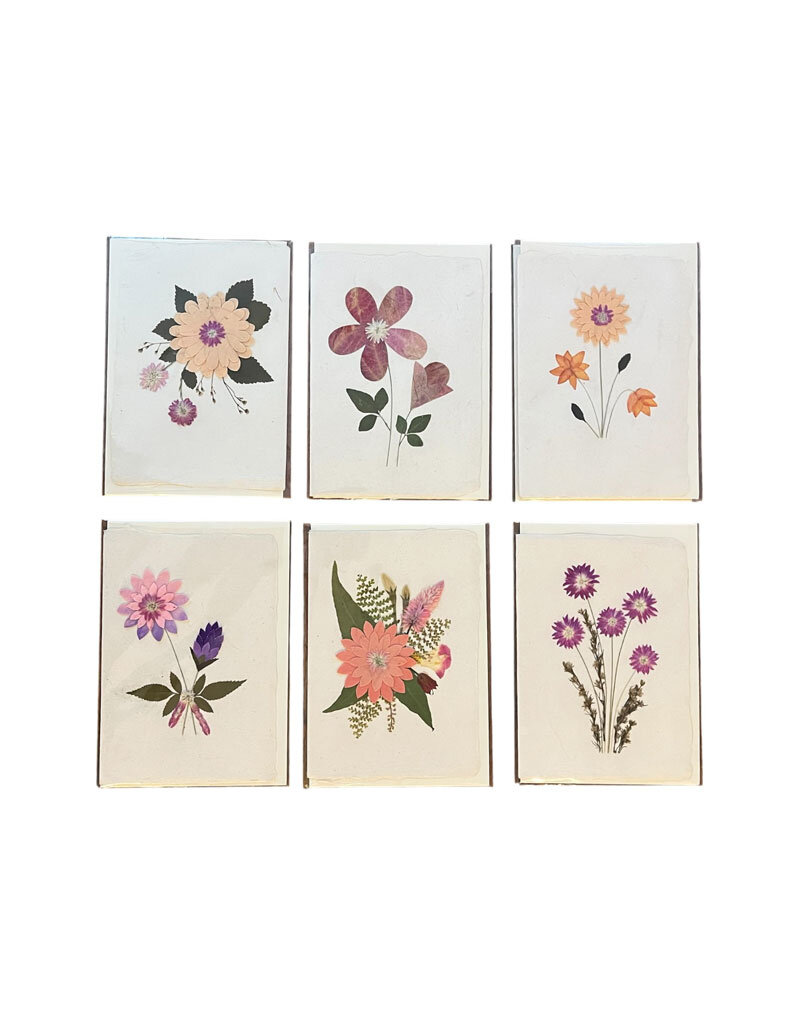 PN400 - Set of 6 cards with envelopes