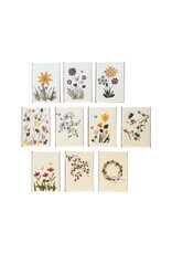 PN405 - Set of 10 cards with envelopes