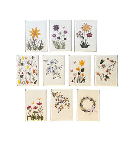 PN405 - Lot de 10 cartes avec enveloppes