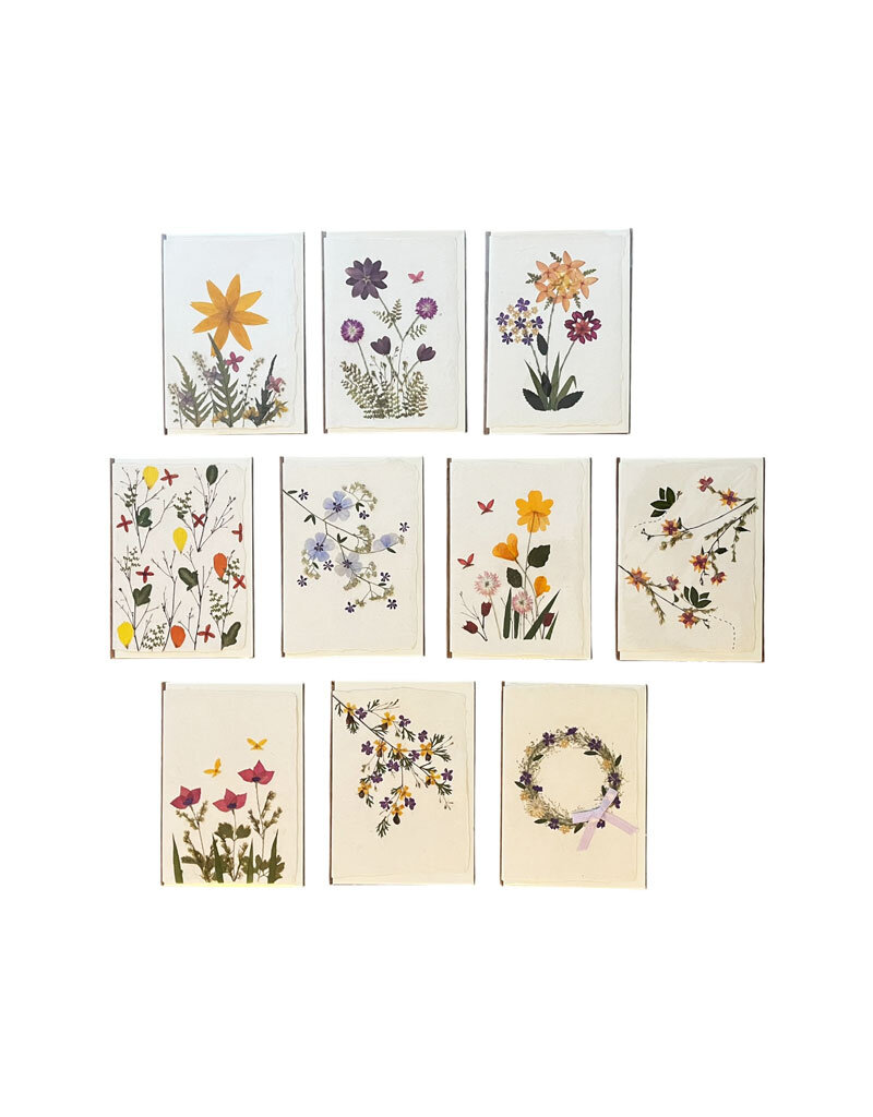 PN405 - Set of 10 cards with envelopes