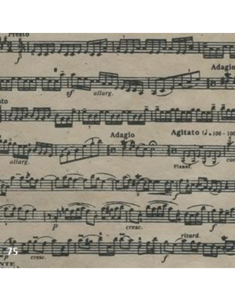 NE195 - Lokta paper with music-bar