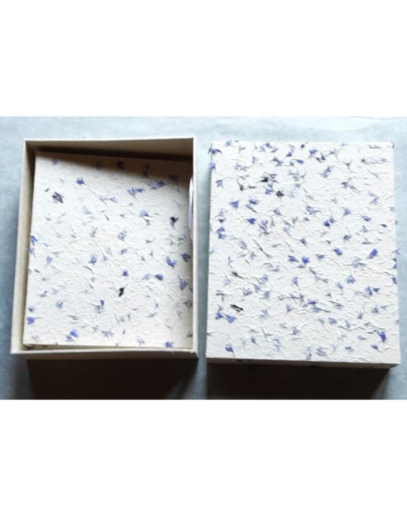 NE413 - Ensemble d'une boîte et d'un registre, bleuet