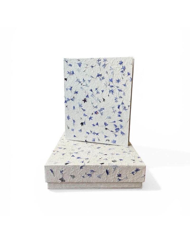 NE413 - Set aus Schachtel und Register, Kornblume