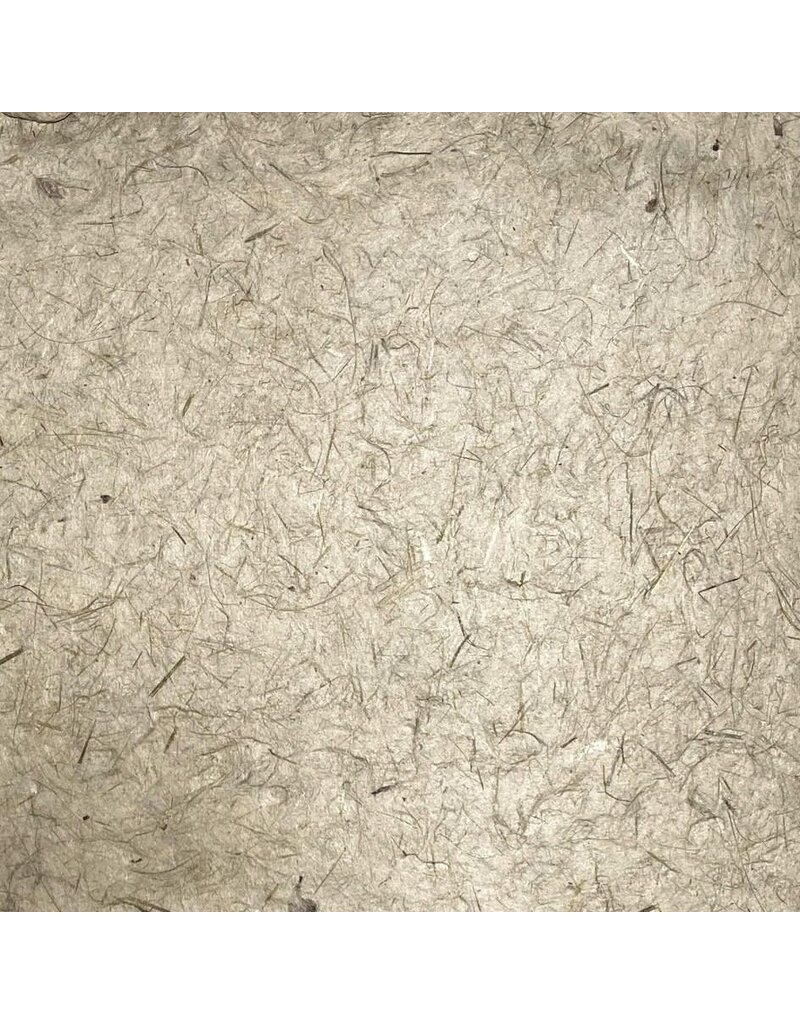 BT020 - Bhutanese paper with grass fibres