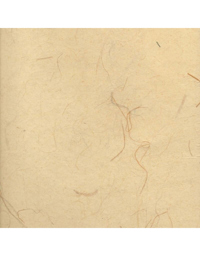 Papier gampi avec cogon et fibres