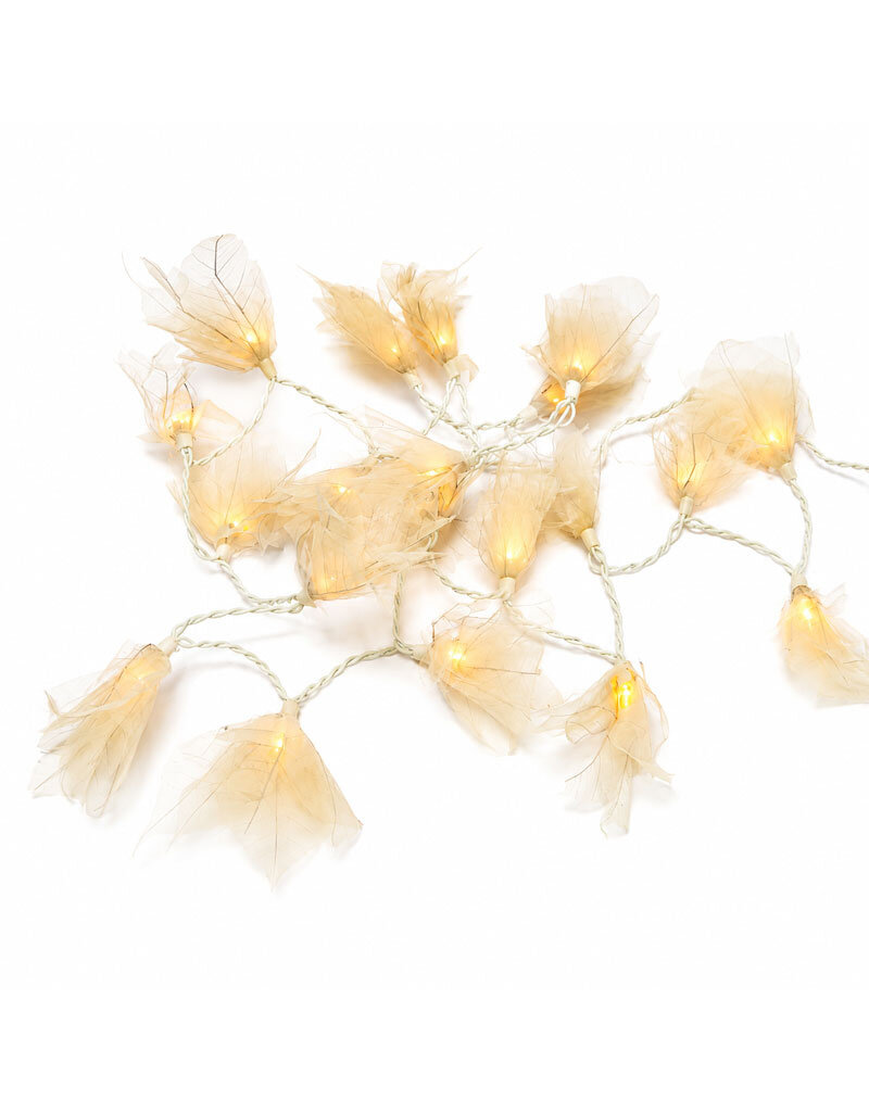 . TH389 - Lumiere fleurs de feuilles de bodhi