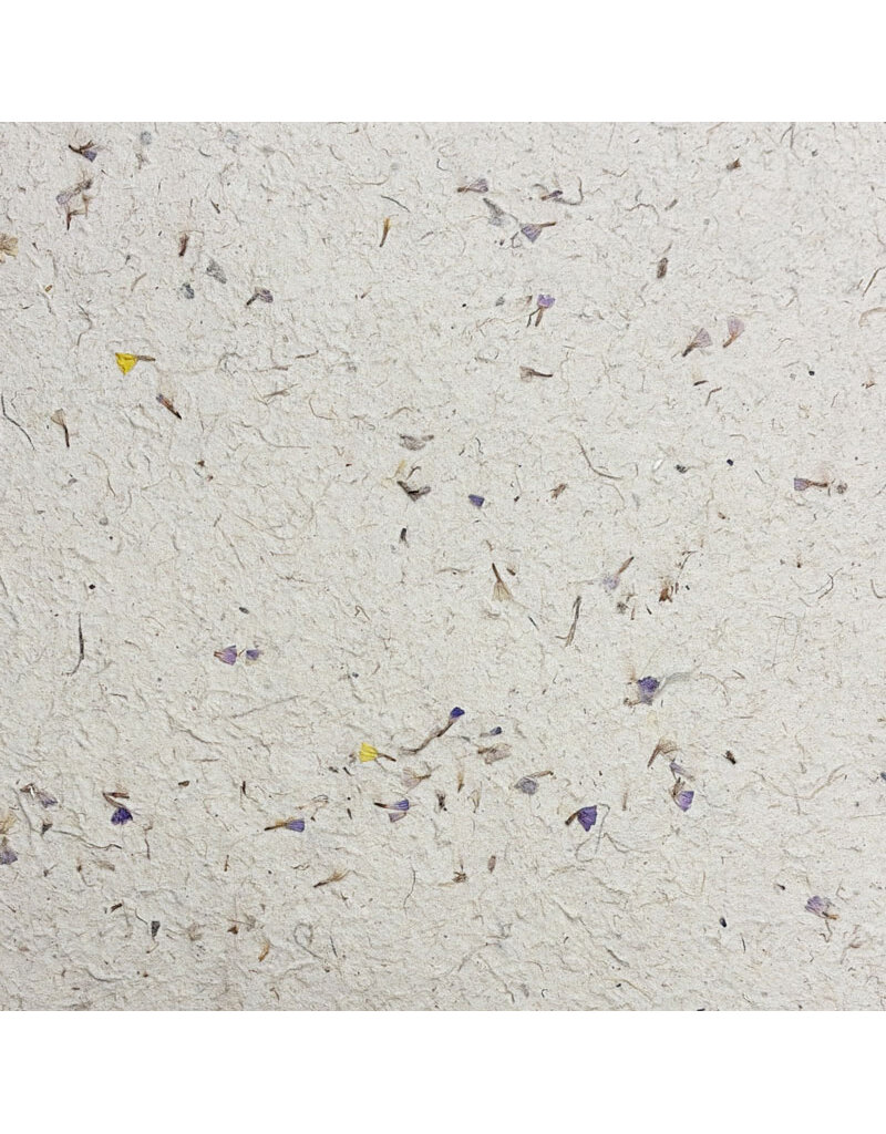 TH821- Mulberry corn paper with small lila flowers