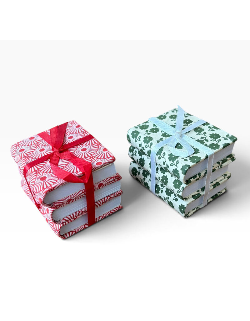 NE053 - Lot de 3 carnets