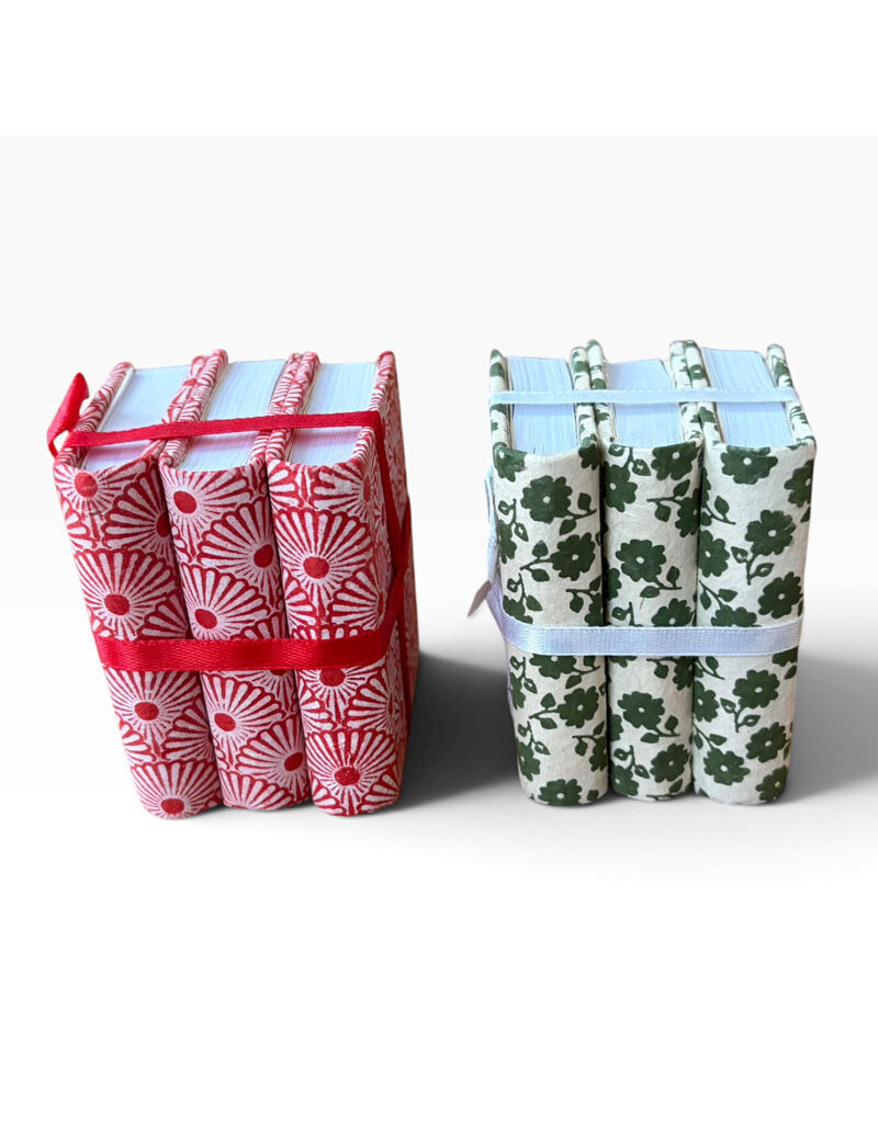NE053 - Lot de 3 carnets
