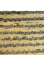 NE195 - Lokta-Papier mit Notenbalken