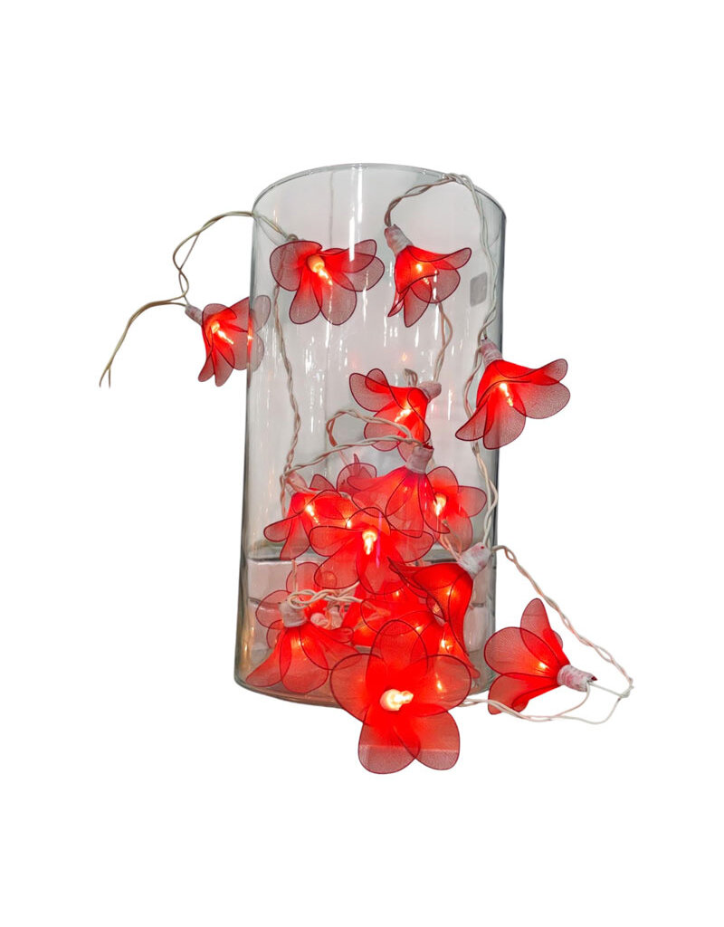 .  Lichterkette Margeriten