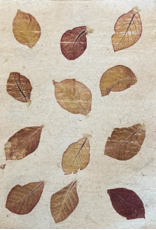 Papier de mûrier et de maïs avec feuilles impression