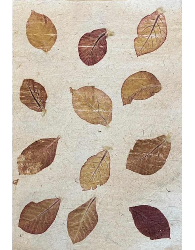 Mulberry-mais papier met  blad print