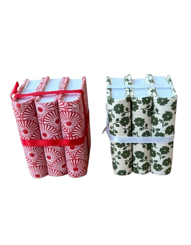 NE053 - Lot de 3 carnets