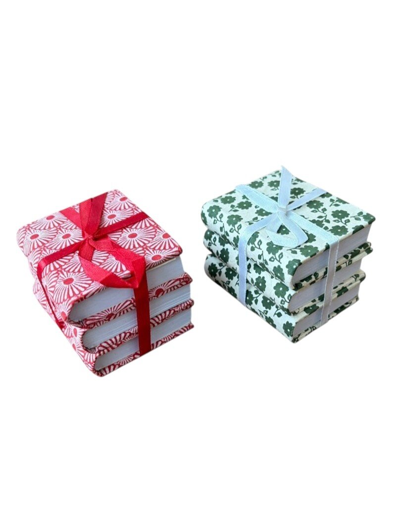 NE053 - Lot de 3 carnets